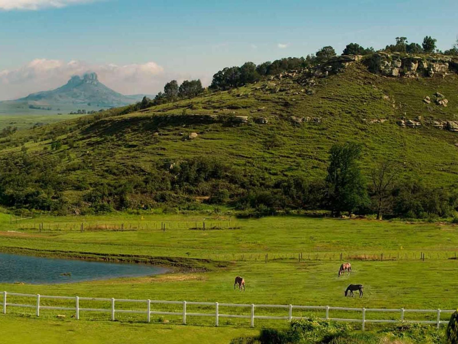 Oaklands Farm Stay Van Reenen 외부 사진
