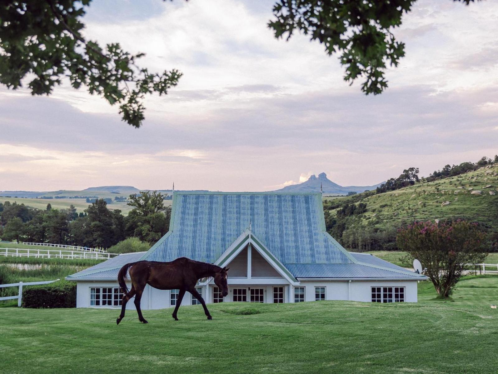 Oaklands Farm Stay Van Reenen 외부 사진